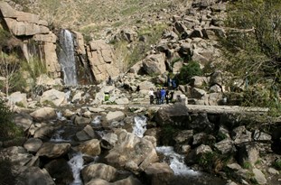 صورة مصغّرة