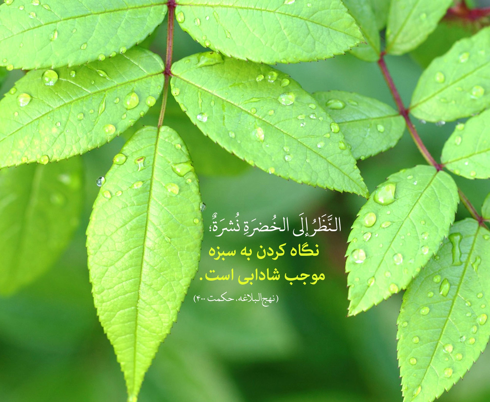 صورة مصغّرة