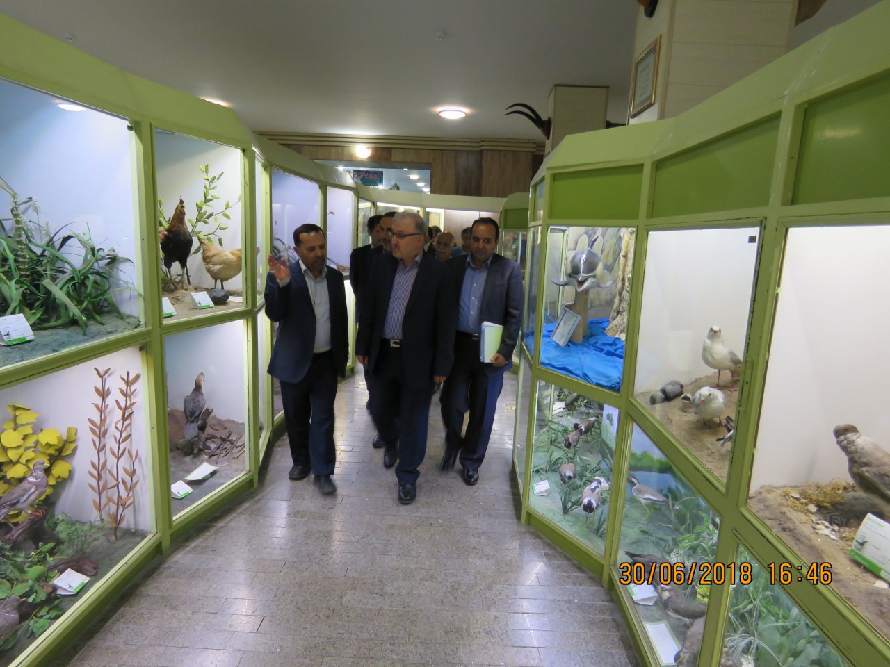 صورة مصغّرة