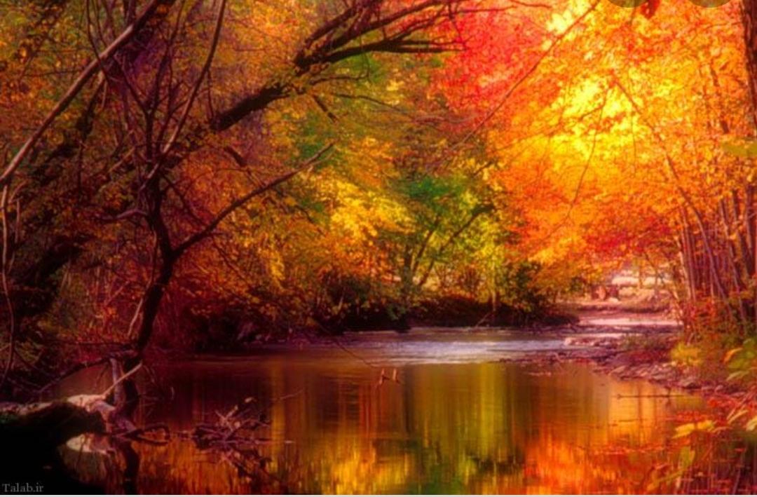 صورة مصغّرة