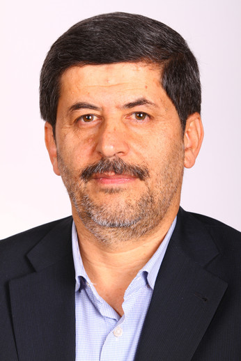 محمود نیلی